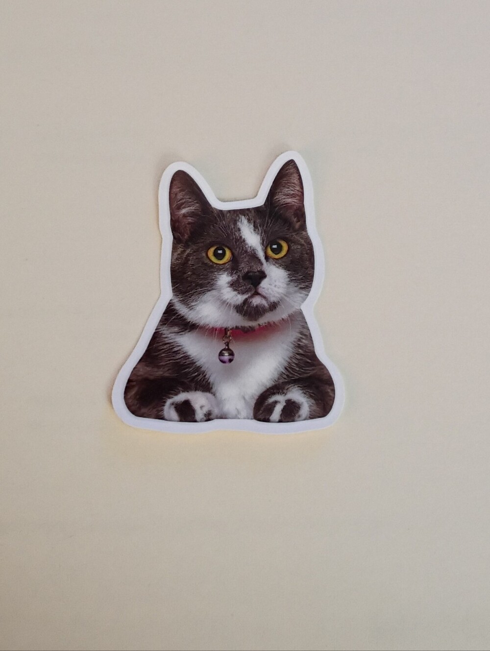 10/$10 Stickers Decal - Black & White Cat Face & Paws With Yellow Eyes - New